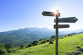 理念体系・パーパス